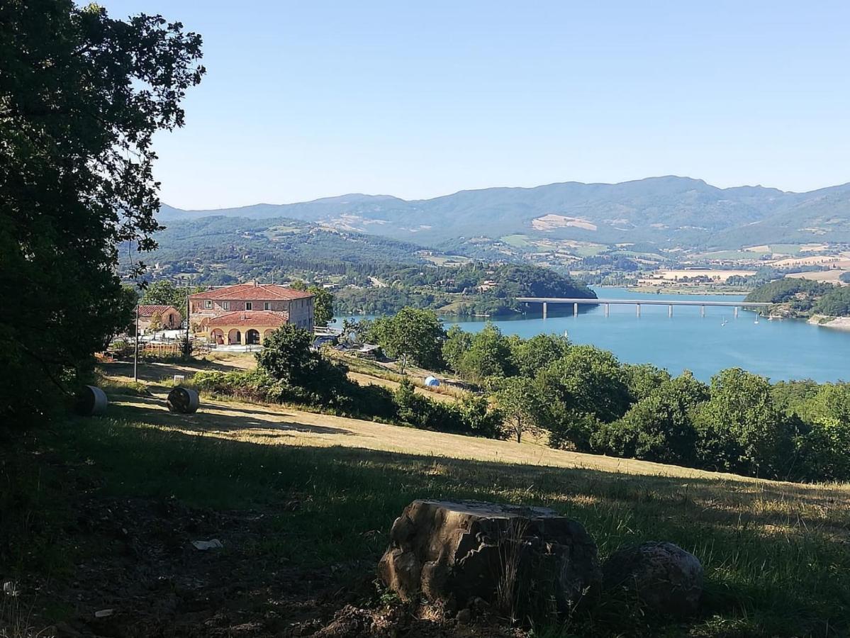 Podere Il Sasso Barberino di Mugello Extérieur photo