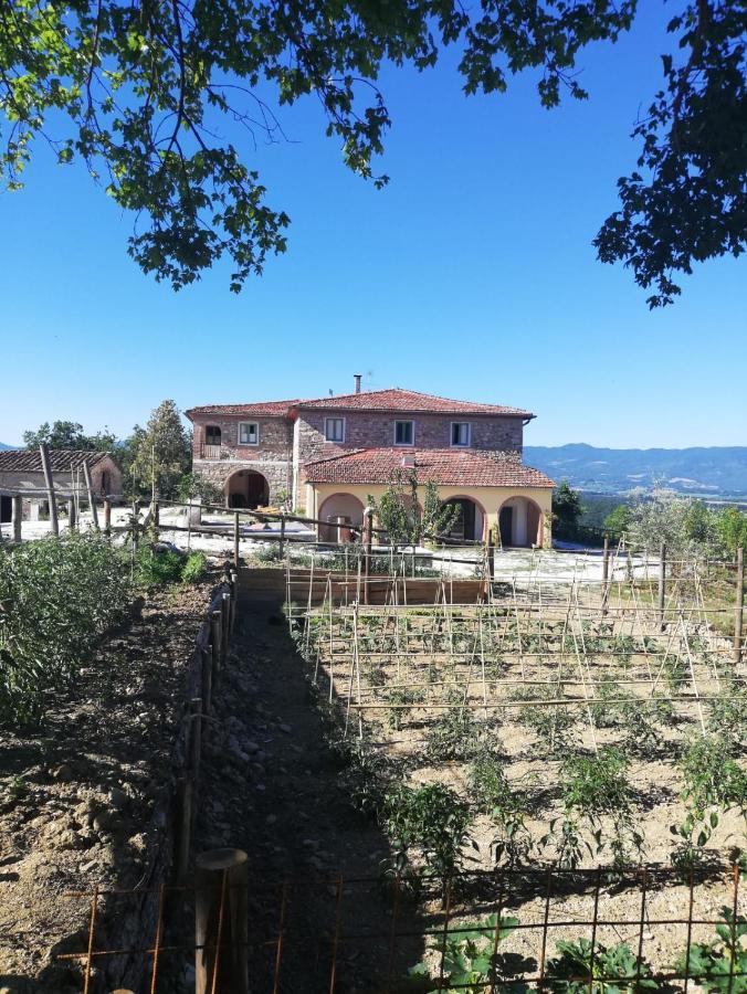 Podere Il Sasso Barberino di Mugello Extérieur photo